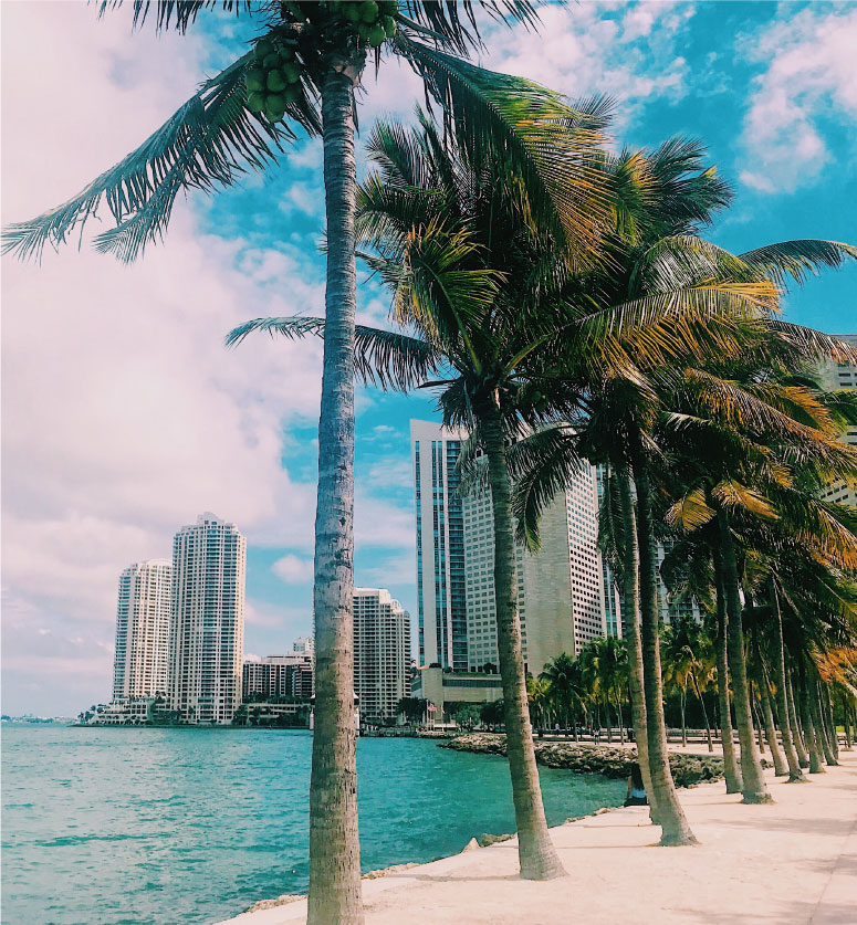 Real Estate Brokers - Venta de Propiedades Miami en Chile